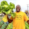 Vegetables