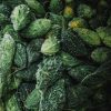 Karela